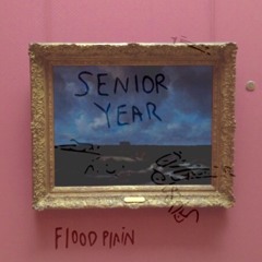 Floodplain ~ SENIOR YEAR