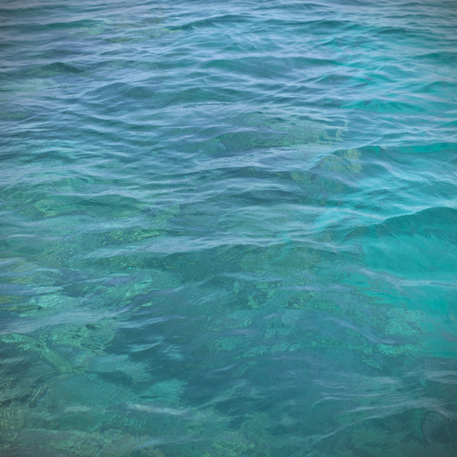 水中 - Underwater