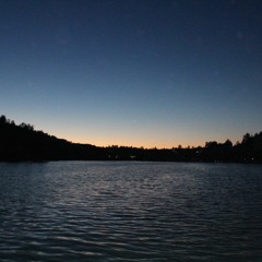 DJ SLiM - Mad Swells