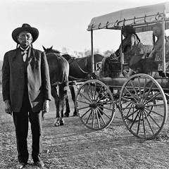 Organic Free Range Hip Hop