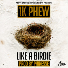 Future Kid (1K Phew) - Like A Birdie