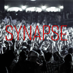 Synapse (The Way I Feel) ft. Lily Und Wolf