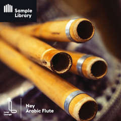 NEY: ARABIC FLUTE