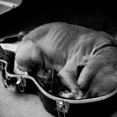 Perro en Subte B [Acoustic Work]