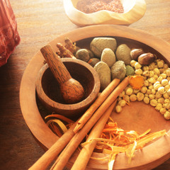 amy & André - fun song