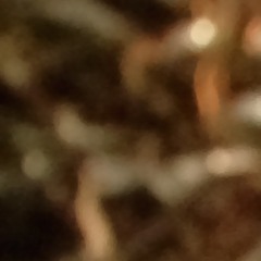 【世界台】Islam國的宣傳戰 - 150816