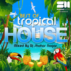Tropical House Summer Vibes 2015 mix by Shaq Fx  63 Min