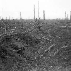 Psalm 91-' The Soldier's Psalm'