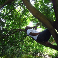 ঝড়ের রাতে