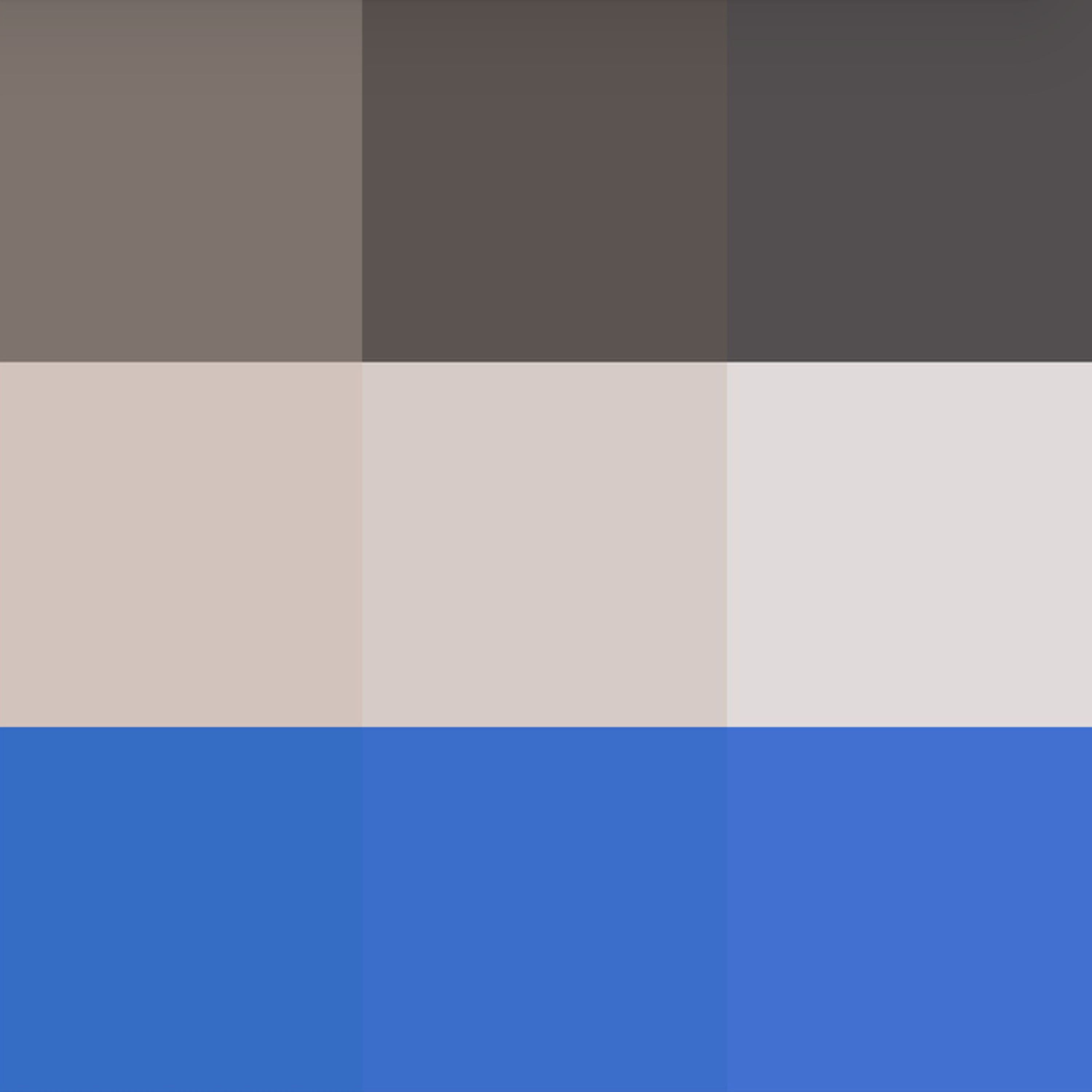 analoc