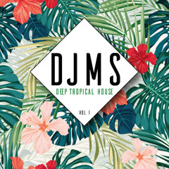 MS - Deep Tropical House - Vol.1
