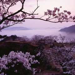 Endless Love Flute Version The Myth OST - Various Artists