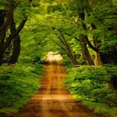 Madre Naturaleza