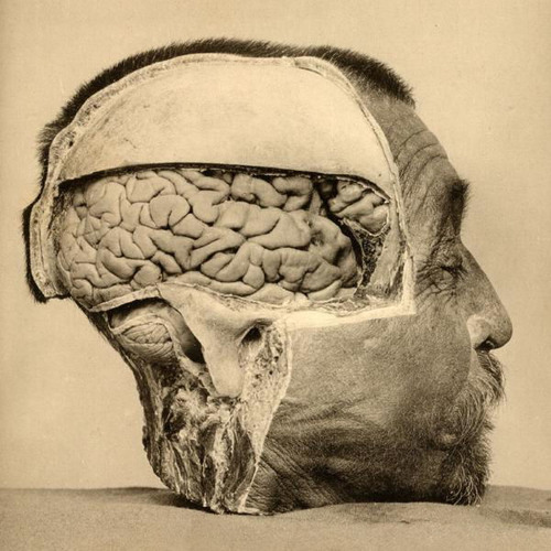 Dari - Mental Engineering - Live @ 127.0.0.1