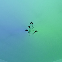 Time Keeps Slipping By