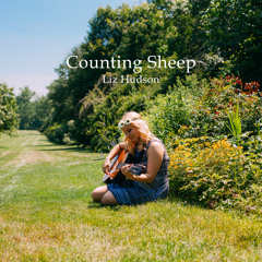 Counting Sheep