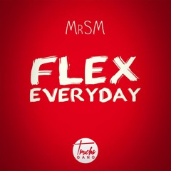 MrSM-Flex EveryDay