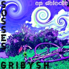 Ils Volent Au Vent (avec Medved)