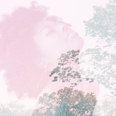 _HwDzitFeel[rough.cover]