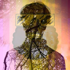 Captain Murphy - The Ritual (Myronik Remix)