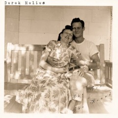 The Fox and the Hound