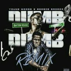 Young Moose Ft Boosie BadAss Ft Donkey  Dumb Dumb Remix