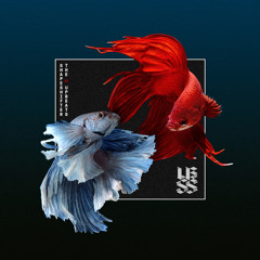 ShapeShifter X The Upbeats - Little By Little ( Mike Henderson Remix) ssxub