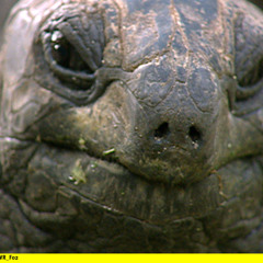 WTF? The 90's again??