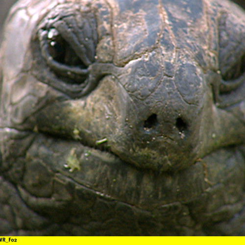 WTF? The 90's again??