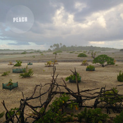 Rem Koolhaus ⤮ Sea of Love [105 m Continuous Mix]