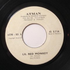 The Deltones - Lil Red Monkey