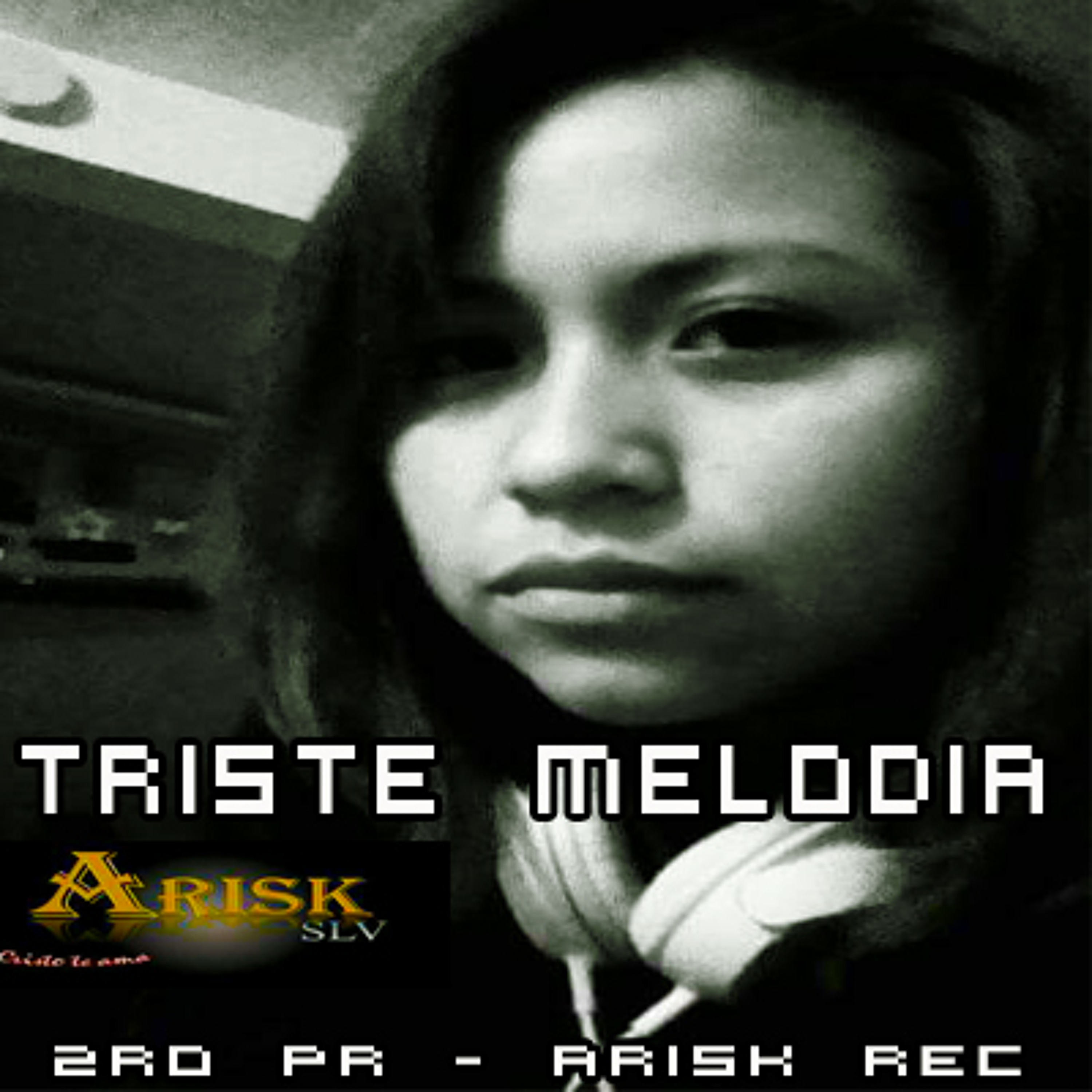 Arisk slv 503