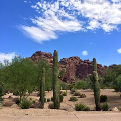 På Dialekt: Nedervetildiplåmati