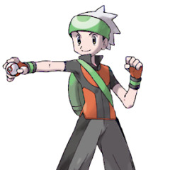 (OLD) Pokemon Arrangements