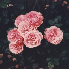 Lee (asano+ryuhei) // Fire