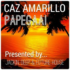 Caz Amarillo - Papegaai (Original Mix)[Free Download]