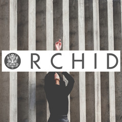 Zella Day - Compass (Louis The Child Remix)