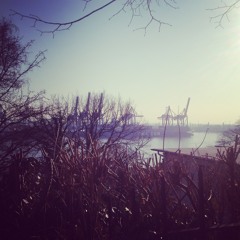 Oh My Sweet Carolina