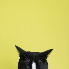 Hazy by Razy Golan (cover)