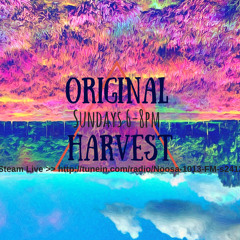 Chat w/ Alex from Bad//Dreems on Original Harvest