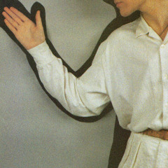 BJ cole on 'Silver moon'.