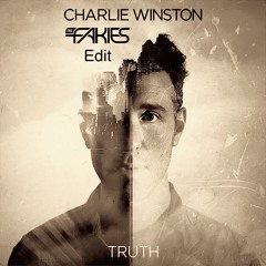 Charlie Winston - Truth (The Fakies Edit)