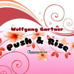 Wolfgang Gartner - Push & Rise