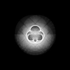 Etudes Furtives : Tanger, In Situ