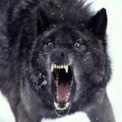fuuuarrrrk