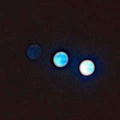 Chandra 1 - deep night mood