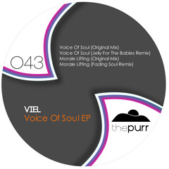 VieL - Voice Of Soul (Original Mix) [The Purr]