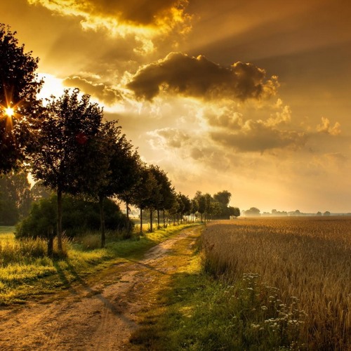 Rigatoni feat Captain Schattenbart, Ajim - Wenn Die Sonne Wieder Scheint (P. Records)