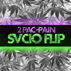 2Pac- Pain (SVCIO Flip)