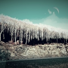 Crystal Kirk - I'm Falling new Single